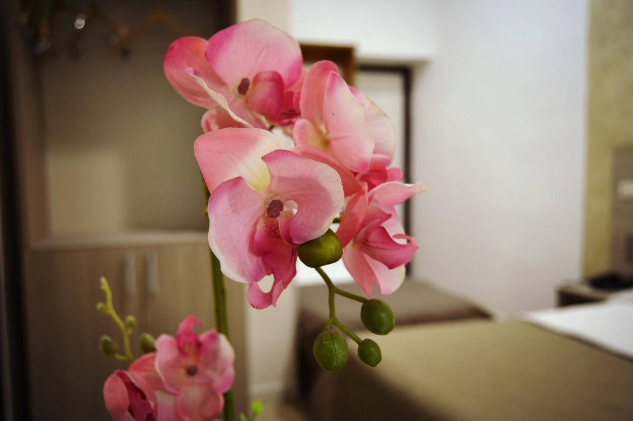 נאפולי Hotel Colombo מראה חיצוני תמונה